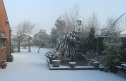 {short description of image}